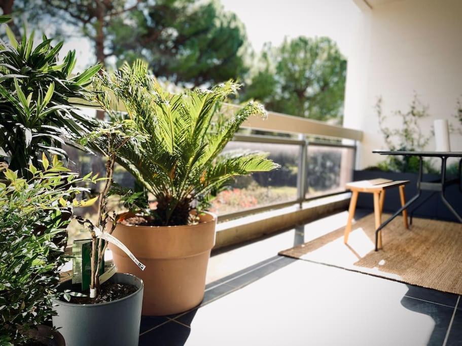 Design 110M2 2Br Terrace & Parking Near Center Apartment Aix-en-Provence Exterior photo